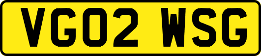 VG02WSG