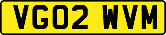 VG02WVM