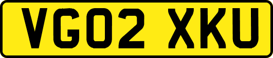 VG02XKU