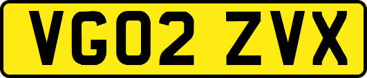 VG02ZVX