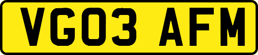 VG03AFM