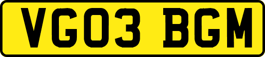 VG03BGM