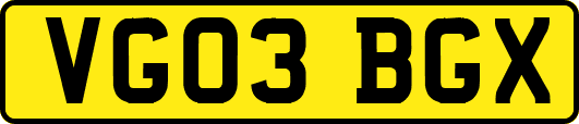 VG03BGX