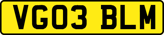 VG03BLM