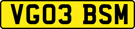 VG03BSM