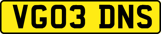 VG03DNS