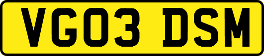 VG03DSM