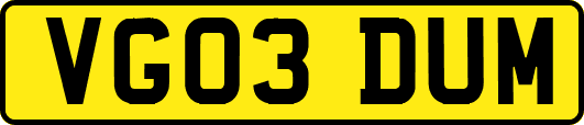 VG03DUM