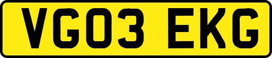VG03EKG