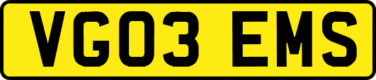 VG03EMS