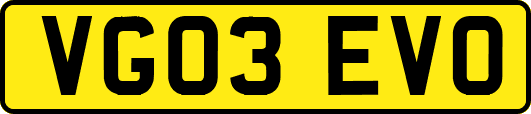 VG03EVO