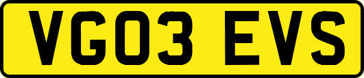 VG03EVS
