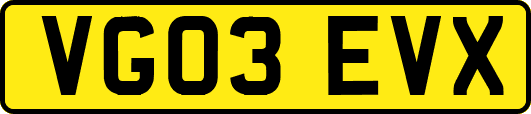 VG03EVX