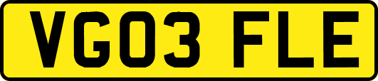 VG03FLE