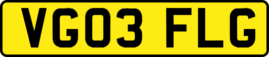 VG03FLG