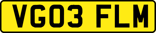 VG03FLM