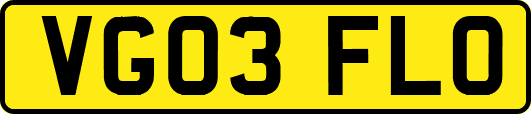 VG03FLO