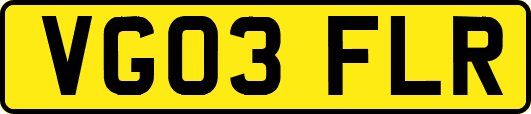 VG03FLR