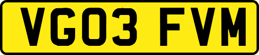 VG03FVM