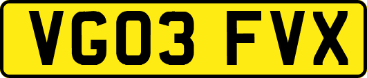 VG03FVX