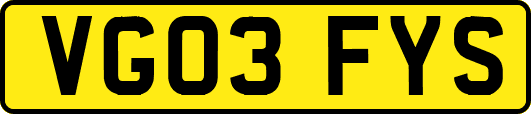VG03FYS