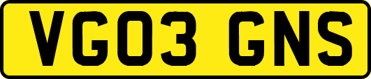 VG03GNS