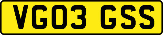 VG03GSS
