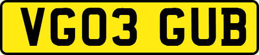 VG03GUB