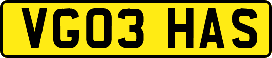 VG03HAS