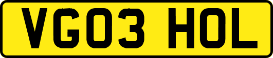 VG03HOL