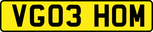 VG03HOM