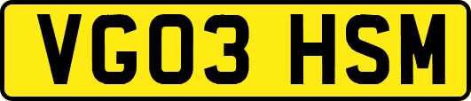VG03HSM