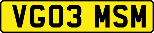 VG03MSM