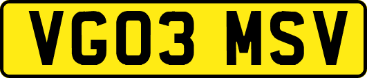 VG03MSV