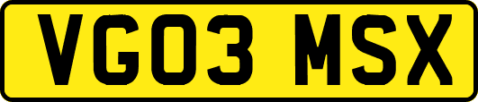VG03MSX