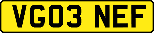 VG03NEF