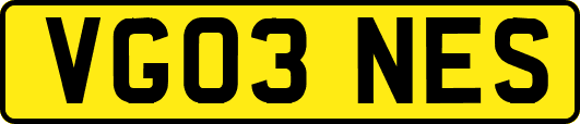 VG03NES