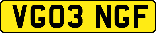 VG03NGF