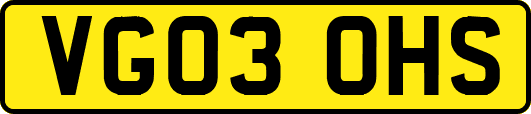 VG03OHS