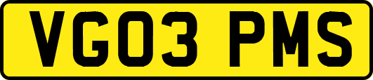 VG03PMS