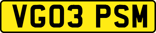 VG03PSM