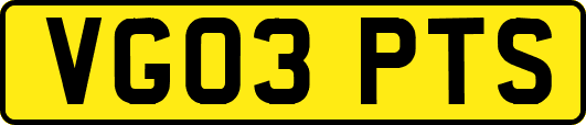 VG03PTS