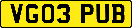 VG03PUB