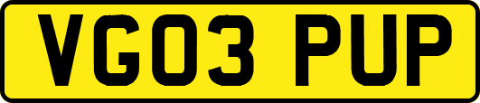 VG03PUP