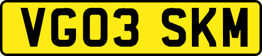 VG03SKM