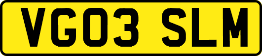 VG03SLM