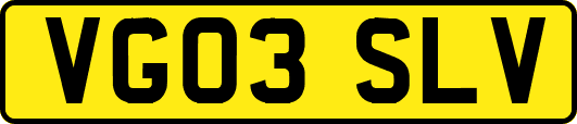 VG03SLV