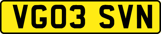 VG03SVN