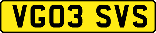 VG03SVS