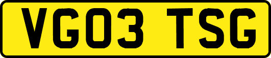 VG03TSG